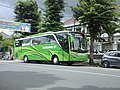 Bus pariwisata Pandawa 87 menggunakan bodi bus model Jetbus varian Jetbus HD 2+.