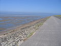 The mudflats of the Greetsieler Nacken along the western side of the Leyhörn near Greetsiel.