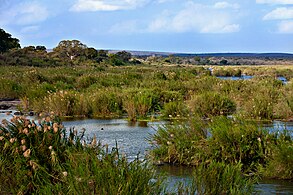 Sabie River near Skukuza