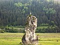 Piatra Teiului (monument al naturii)