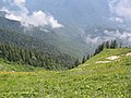 Image 11Gagra Range (from Geography of Abkhazia)