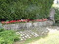 Mit Blumen gefüllter Dorfbrunnen