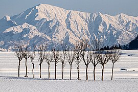 Paddy fields and mountains in Ojiya in winter