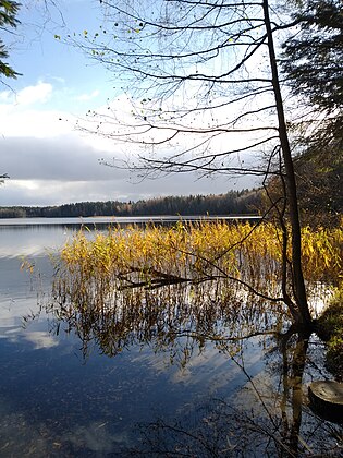 Le lac Glublya dans le « Нарачанскі (нацыянальны парк) » du voblast. Octobre 2021.