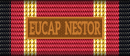 EUCAP Nestor