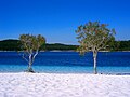 Strand des Lake McKenzie