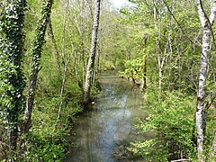 Le Boulou, en amont du pont de la route départementale 106, en limite de Creyssac (à gauche) et de Bourdeilles.