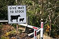 Image 5This Australian road sign uses the less common term "stock" for livestock. (from Livestock)