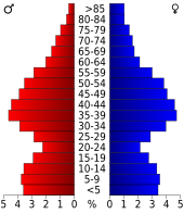 Bevolkingspiramide Morris County