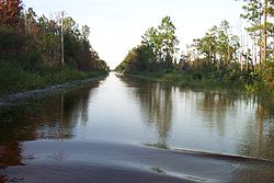 Crabgrass Road, under three feet of water