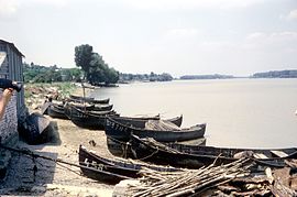 Traditional fishing boats near Mahmudia