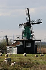 Oostzaan