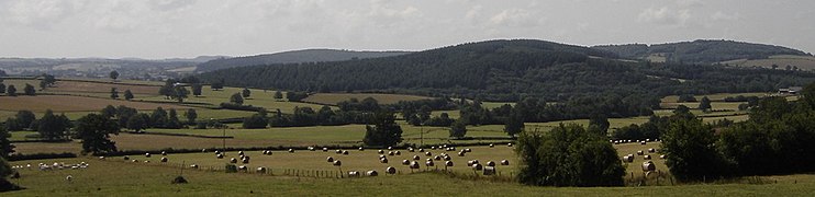 Panorama dans le sud-Morvan (Nièvre).