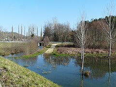 La Seyze (sur la gauche) rejoint une zone inondée par le Caudeau.