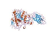 1gpl: RP2 LIPASE