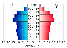 Bevolkingspiramide van de gemeente Pekela