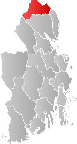 Skogers kommun i Vestfold fylke.