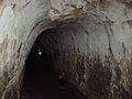 Tunnel di lava sull'isola di Santa Cruz, Puerto Ayora.