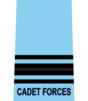 Flight Lieutenant