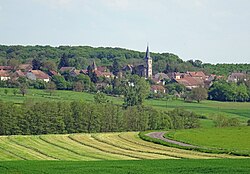 Skyline of Châtenois