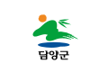 담양군의 기 (2000년-2023년)