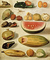 Image 28Hermenegildo Bustos, Still life with fruit, 1874 (from Frogs in culture)