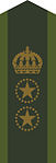 Armén (fältuniform)