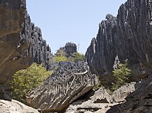 Karst topography at Tsingy de Namoroka National Park in northwestern Madagascar