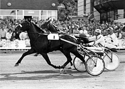 Rex Rodney wins Elitloppet 1986.jpg