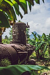 Canalisations rouillées dans une plantation.