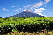 A photograph depicting a blue sky with white clouds at the top, a grey mountain range in the middle, and green foliage at the bottom.