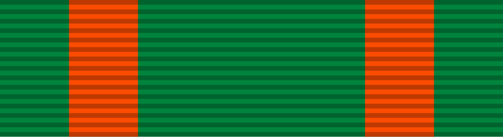 Navy and Marine Corps Achievement Medal