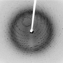 Cliché de diffraction de la protéase virale 3CLpro cristallisée