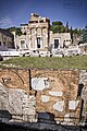 Foro romano (1) - visione d'insieme