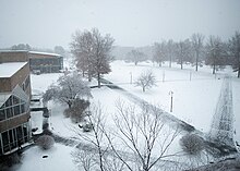 Snow is seen covering grassy areas, roofs on buildings, and trees at Hampshire College, a private liberal arts college in Massachusetts; sidewalks are also at least partially covered with snow.