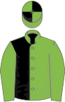 Light Green and Black (halved), Light Green sleeves, quartered cap