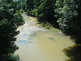 The Luy de France between Momuy and Argelos