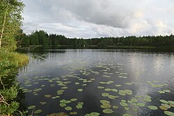 Pappisten Pikkujärvi elokuussa 2018