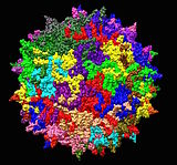 Structure of adeno-associated virus serotype 2