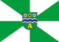 Bandeira de Apiúna