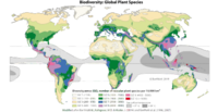 The first detailed world map of biodiversity of plants 1996 shows the global distribution of plants