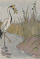 Image 14A frog being eaten by King Stork, an illustration by Milo Winter in a 1919 Aesop anthology (from Frogs in culture)