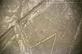 Línies de Nazca: figura de l'aranya