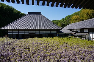 長泉寺山門から見た樹齢650年の骨波田（こつはた）の藤（埼玉県指定天然記念物）