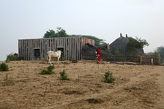 Maisons dans le désert au Rajasthan en novembre 2019. Un habitat en transition entre construction en dur et bâti vernaculaire.