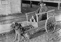 « Attelage typique d'un vieux pêcheur de la ville de Rimouski » (1904), photographie tirée du périodique canadien-français L'Album universel.