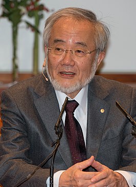 Yoshinori Osumi (2015)