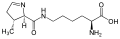 L-Pirrolisina (Pyl / O)