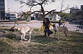 Activist Marlene Wayar in 1998