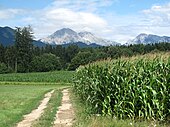 Panorama zwischen Kranj und Naklos